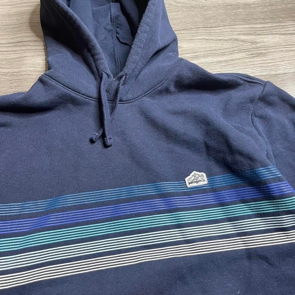 Patagonia Striped Navy Hoodie